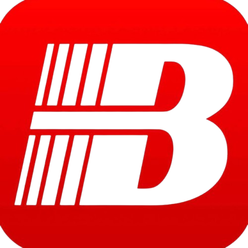 B体育官网揭秘：世界杯预选赛中的隐藏投注机会，世界杯指定投注官网